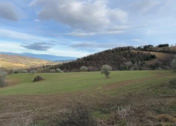 vista - Casa indipendente Colli
 
118, Serrapetrona - foto 21