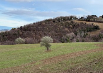 giardino - Casa indipendente Colli
 
118, Serrapetrona - foto 23