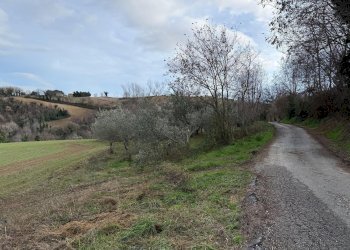 giardino - Casa indipendente Colli
 
118, Serrapetrona - foto 24