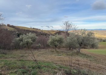 vista - Casa indipendente Colli
 
118, Serrapetrona - foto 25