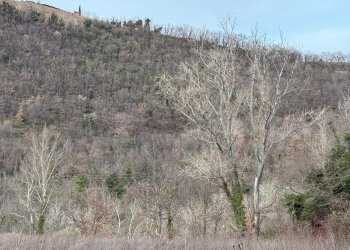 vista - Casa indipendente Colli
 
118, Serrapetrona - foto 26