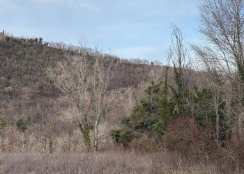 vista - Casa indipendente Colli
 
118, Serrapetrona - foto 27