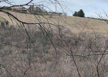 vista - Casa indipendente Colli
 
118, Serrapetrona - foto 28