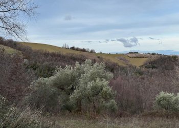 vista - Casa indipendente Colli
 
118, Serrapetrona - foto 29