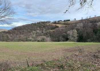 giardino - Casa indipendente Colli
 
118, Serrapetrona - foto 30