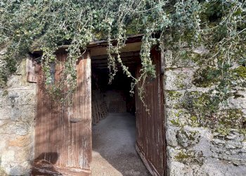 giardino - Casa indipendente Podalla, Fiastra - foto 11