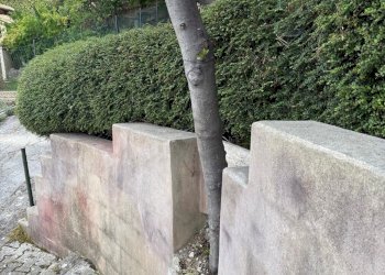 giardino - Casa indipendente Santa Croce, Macerata - foto 10