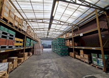 Magazzino - Capannone via Vincenzo Monti, 56, Pero - foto 23