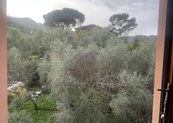 VISTA - Four-room apartment VIA LARCO, Santa Margherita Ligure - photo 18