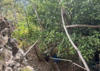 Terreno - Rustico via Torello, Ravello - foto 22