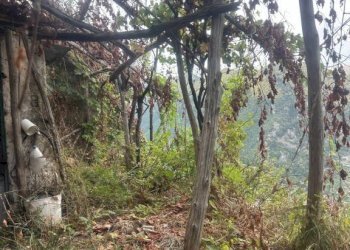 Terreno - Rustico via Torello, Ravello - foto 27