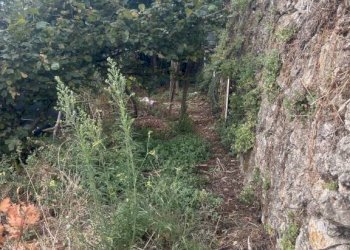 Terreno - Rustico via Torello, Ravello - foto 32