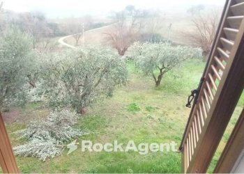 Terreno - Rustico Arcevia - foto 25