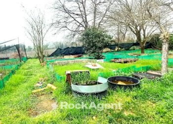 Terreno - Rustico Arcevia - foto 36