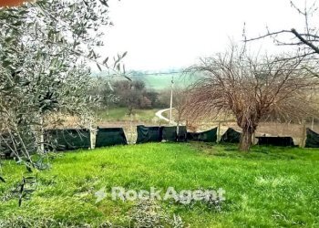 Terreno - Rustico Arcevia - foto 37