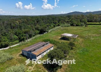 Terreno - Agricultural land via di Grecale, Livorno - photo 5