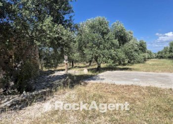 Terreno - Rustico viale Pandolfelli, Andria - foto 9