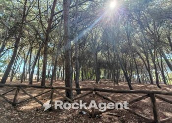 Terreno - Ufficio contrada Colamaio, Pizzo - foto 11