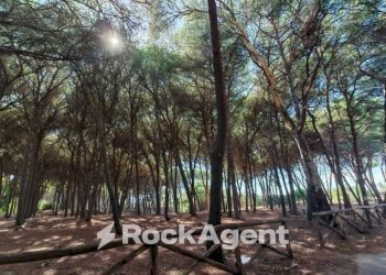 Terreno - Ufficio contrada Colamaio, Pizzo - foto 15