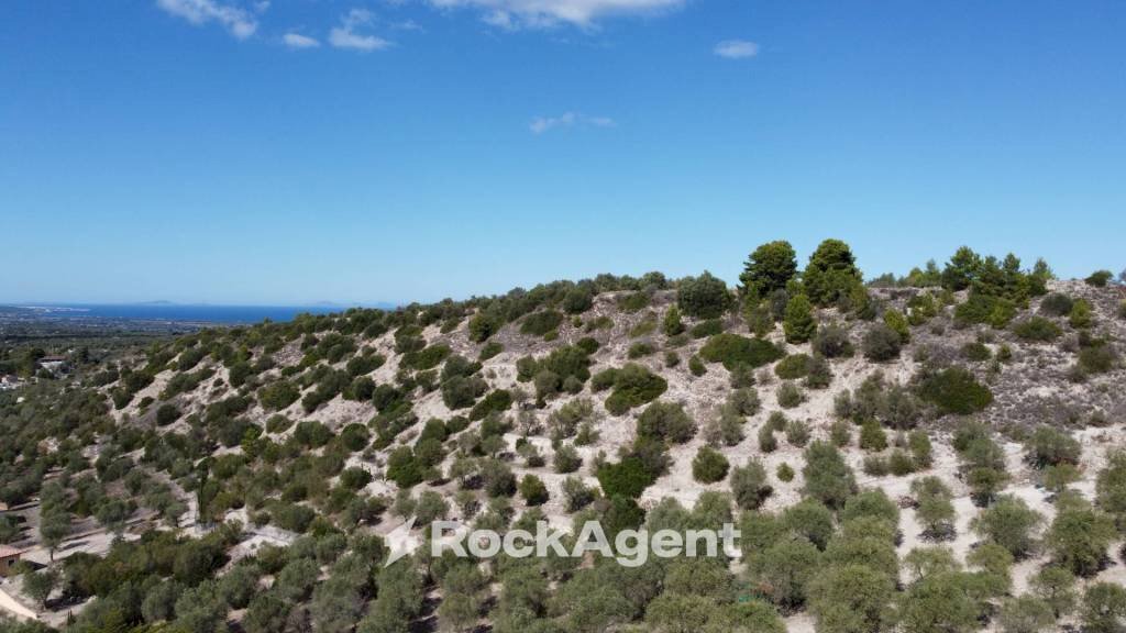 Vista - Agricultural land Loc Santa Barbara, Sorso - photo 2