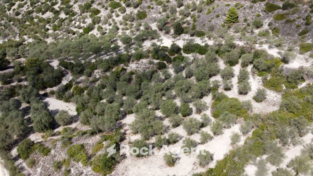 Terreno - Agricultural land Loc Santa Barbara, Sorso - photo 3