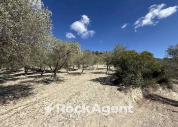 Terreno - Agricultural land Loc Santa Barbara, Sorso - photo 1