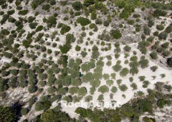 Terreno - Agricultural land Loc Santa Barbara, Sorso - photo 5