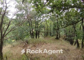 Terreno - Terreno agricolo strada Milia, Biancavilla - foto 2