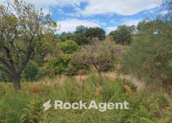 Terreno - Terreno agricolo strada Milia, Biancavilla - foto 11