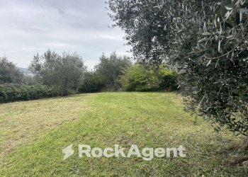 Terreno - Villa contrada Montupoli Foro, Miglianico - foto 30