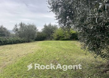 Terreno - Villa contrada Montupoli Foro, Miglianico - foto 23