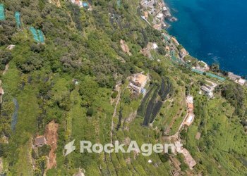 Terreno - Terreno agricolo via Torretta a Marmorata, Ravello - foto 31