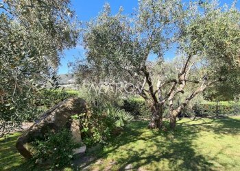 Giardino - Villa via Salvatore Revelli, 90, Taggia - foto 5