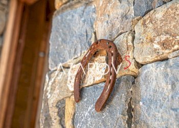 Altro - Villa Bordighera - foto 5