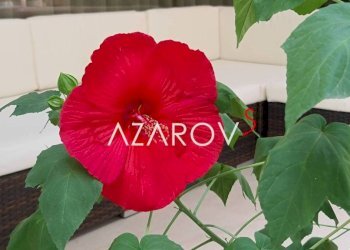 Altro - Villa a Schiera traversa Prima Pineta, 14, Cervia - foto 7