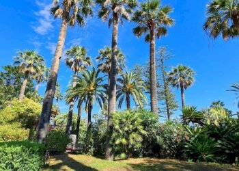 Giardino - Villa Lungomare Imperatrice, 116, Sanremo - foto 14