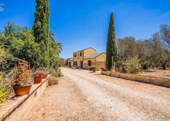 Terreno - Villa strada Pietretagliate, 48, Trapani - foto 1