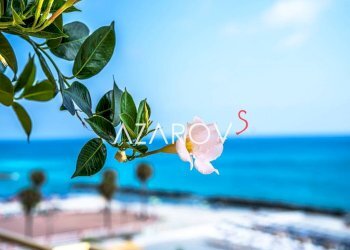 Altro - Attico Passeggiata Guglielmo Oberdan, 1E, Ventimiglia - foto 25