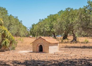 Terreno - Villa via Torre Sances, 370, Marsala - photo 4