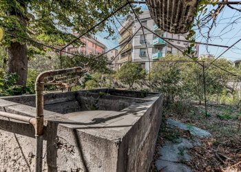 Giardino - Villa Ventimiglia - foto 17