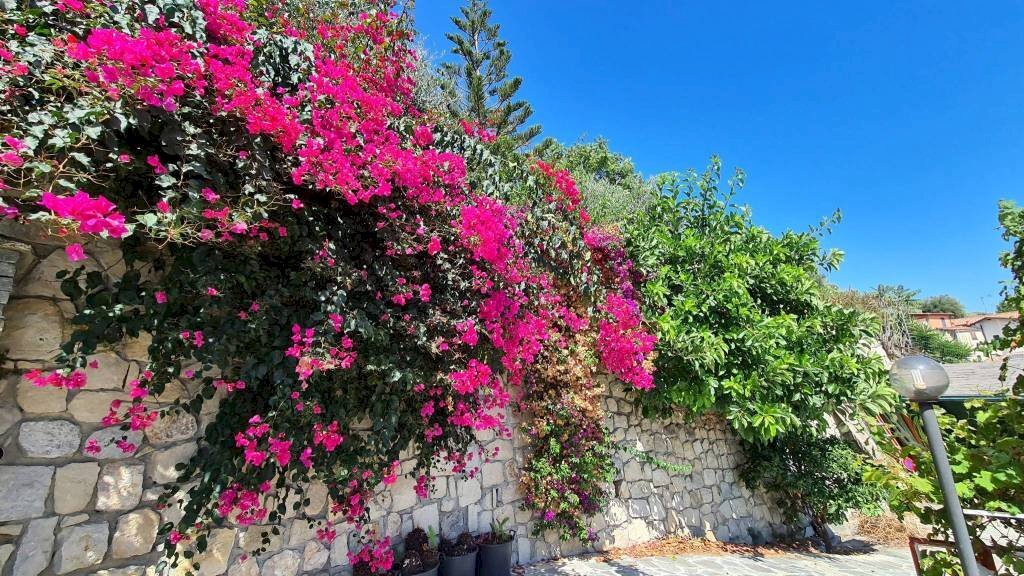 Giardino - Villa corso Montecarlo, Ventimiglia - foto 2