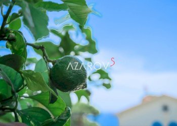 Altro - Trilocale via Padre Semeria, 249, Sanremo - foto 17