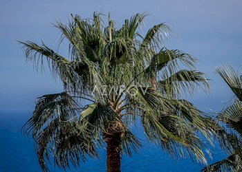 Vista - Villa strada Valdirodi, 15, Ospedaletti - photo 9