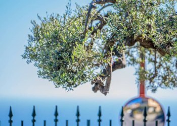 Zona - Villa strada Valdirodi, 15, Ospedaletti - photo 10