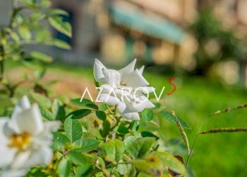 Altro - Trilocale via Camillo Benso di Cavour, 46, Ospedaletti - foto 27