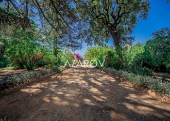 Giardino - Villa via Beodo, 30, Taggia - photo 24