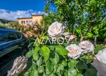 Giardino - Villa via Roma, 10, Vetralla - foto 24