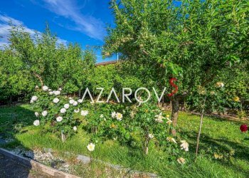 Terreno - Villa via Roma, 10, Vetralla - foto 27