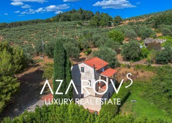 Terreno - Villa strada Provinciale di San Feliciano Tratto 1, Magione - foto 39