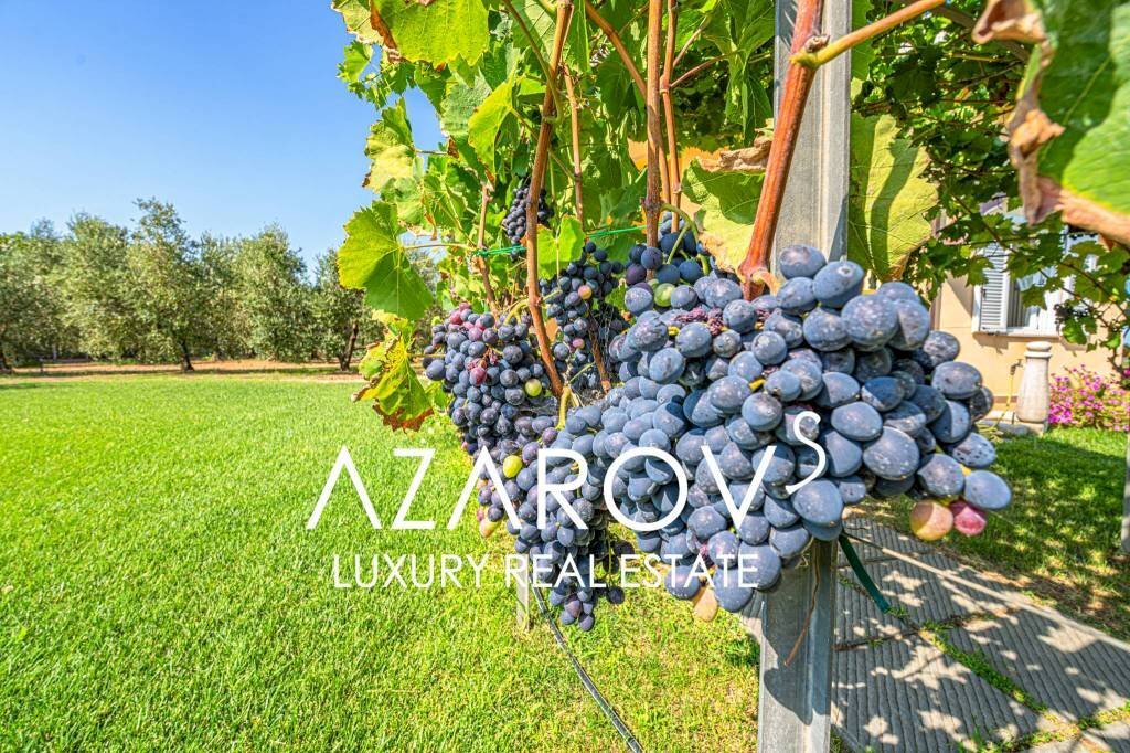 Giardino - Villa strada Vallelunga, 10, Montalto di Castro - foto 3